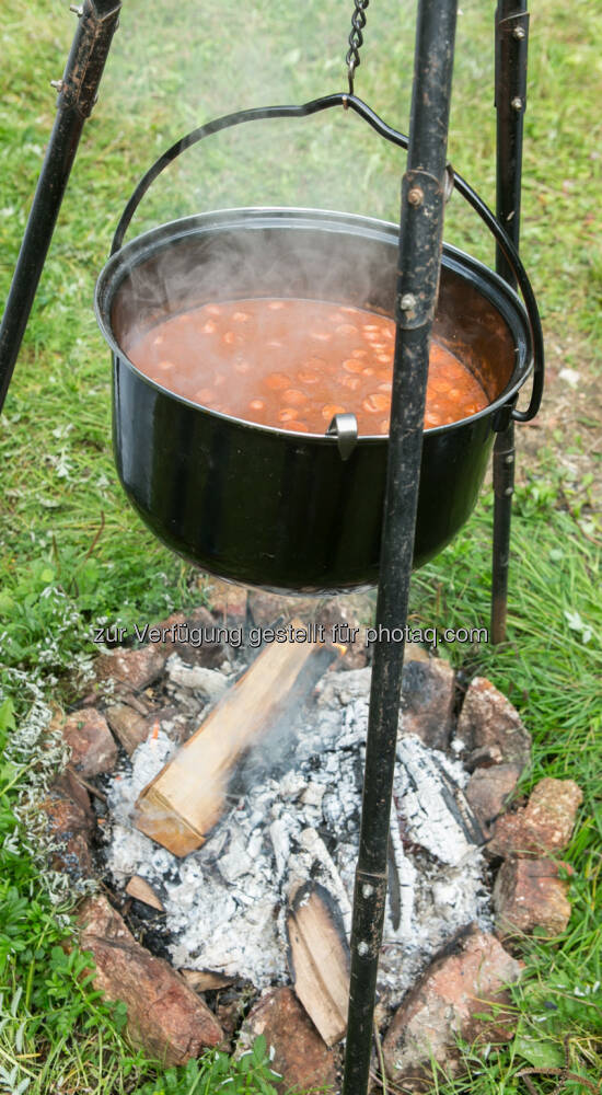 Gulasch Kessel Feuer kochen social Bild 14285 Zuwachs für das