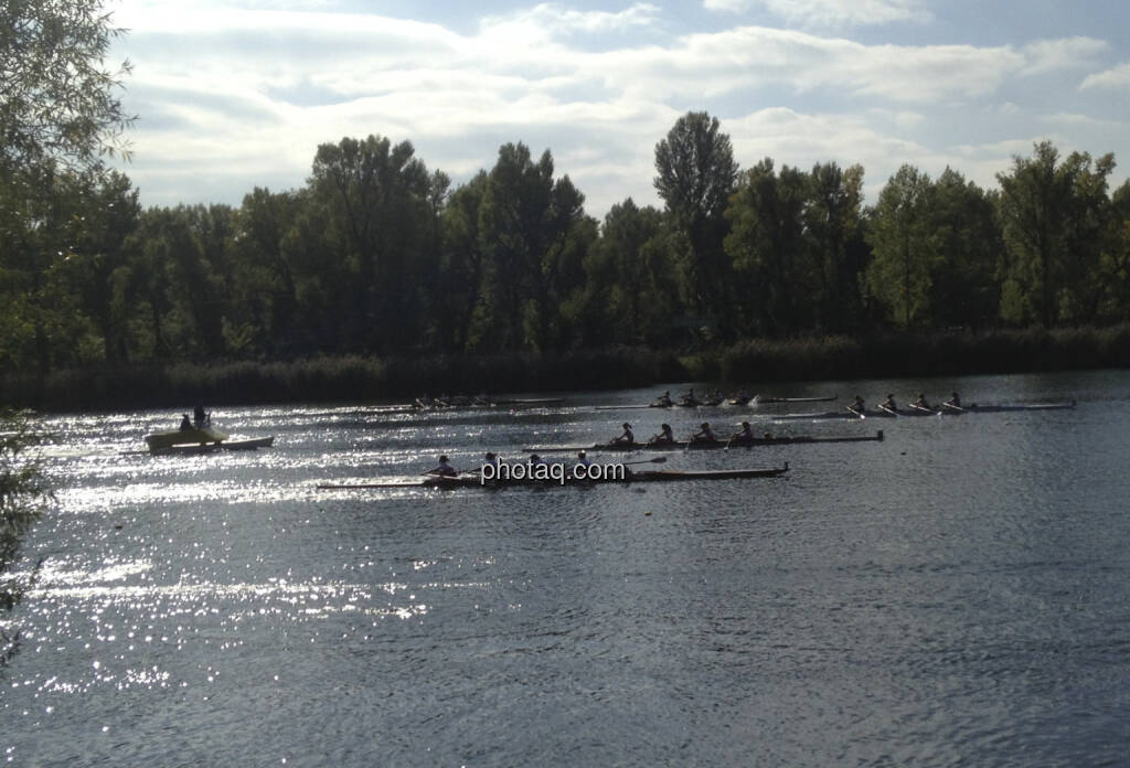 Rudern, Rennen, Alte Donau (28.09.2013) 