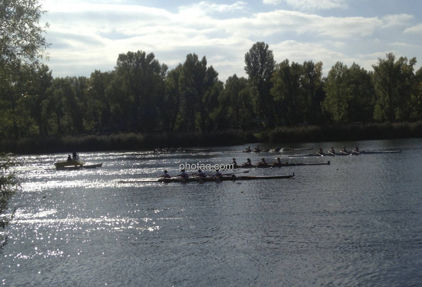 Rudern, Rennen, Alte Donau