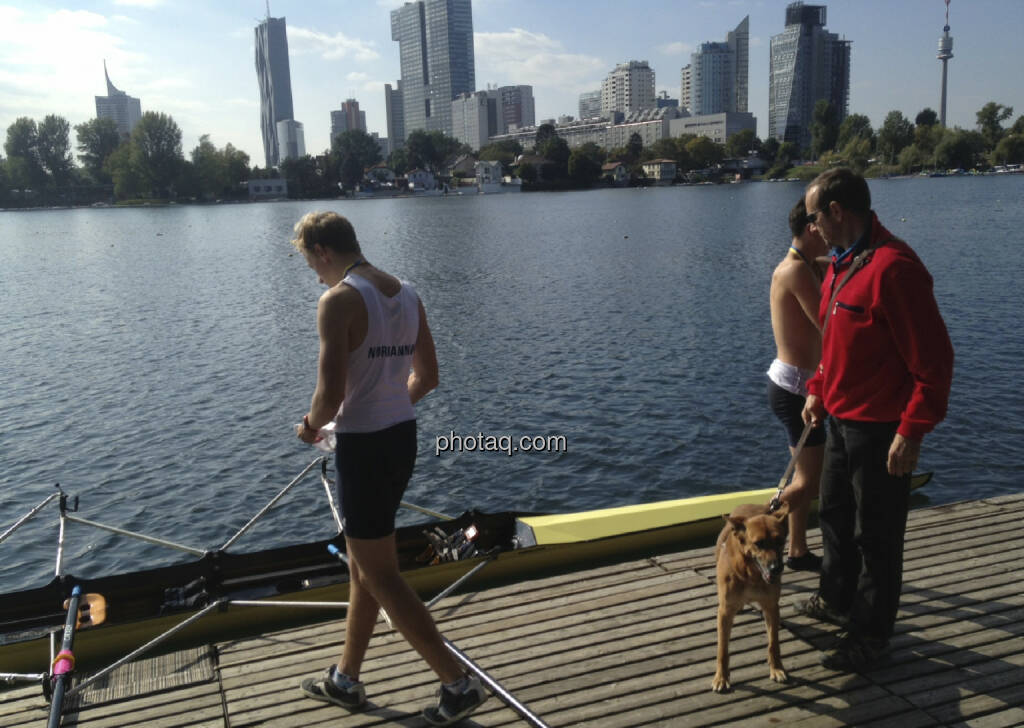 Wasser, Rudern, Alte Donau (28.09.2013) 