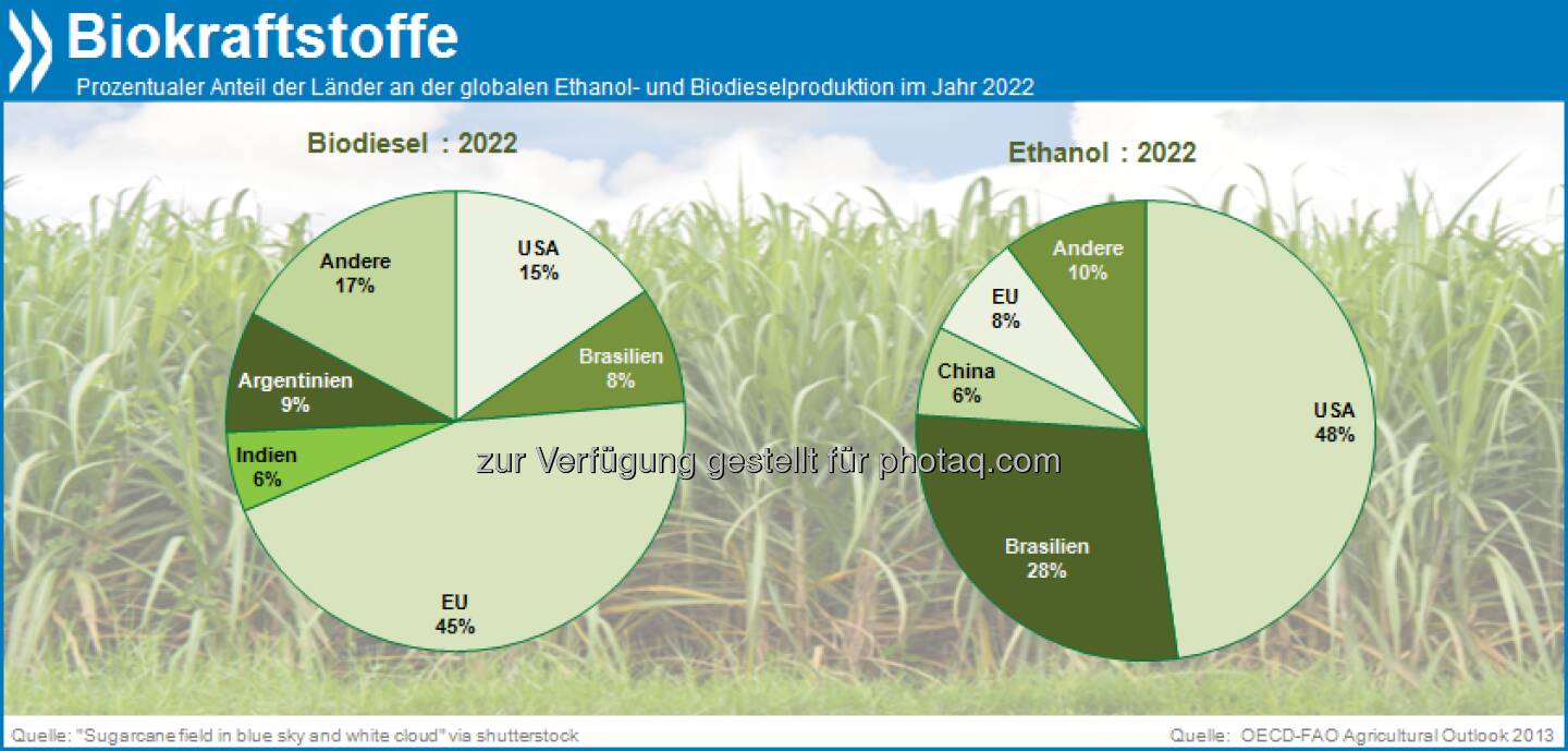 Schön grün? In zehn Jahren werden die EU und die USA fast die Hälfte aller Biokraftstoffe produzieren. Die gesamte Herstellung benötigt dann etwa 29 Prozent der globalen Zuckerrohrproduktion, 15 Prozent aller pflanzlichen Öle und 12 Prozent aller Hülsenfrüchte weltweit.

Mehr unter http://bit.ly/18NUbKD (OECD-FAO Agricultural Outlook 2013, S.46)