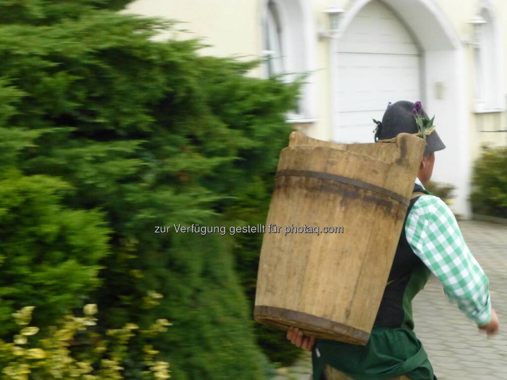 Läufer mit Butte, 8. Königstetter Herbstlauf 2013 (06.10.2013) 