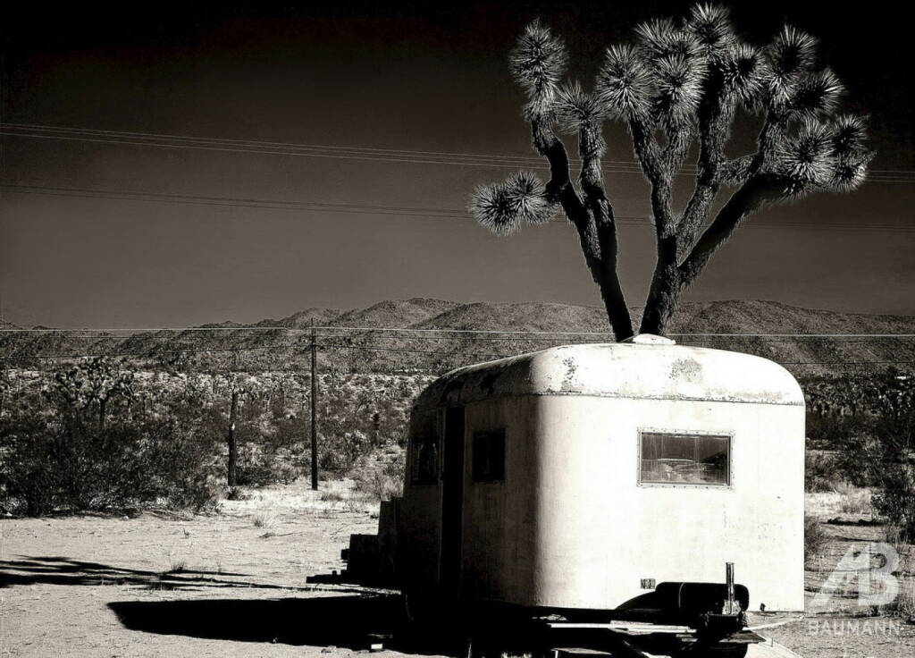 Bus, Wüste, © www.manfredbaumann.com (10.10.2013) 