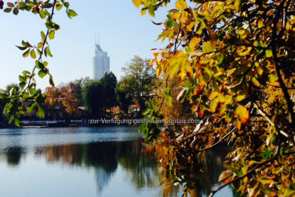 Millenniumtower, herbstlich, Wasser, © Martina Draper / Diverse (16.10.2013) 