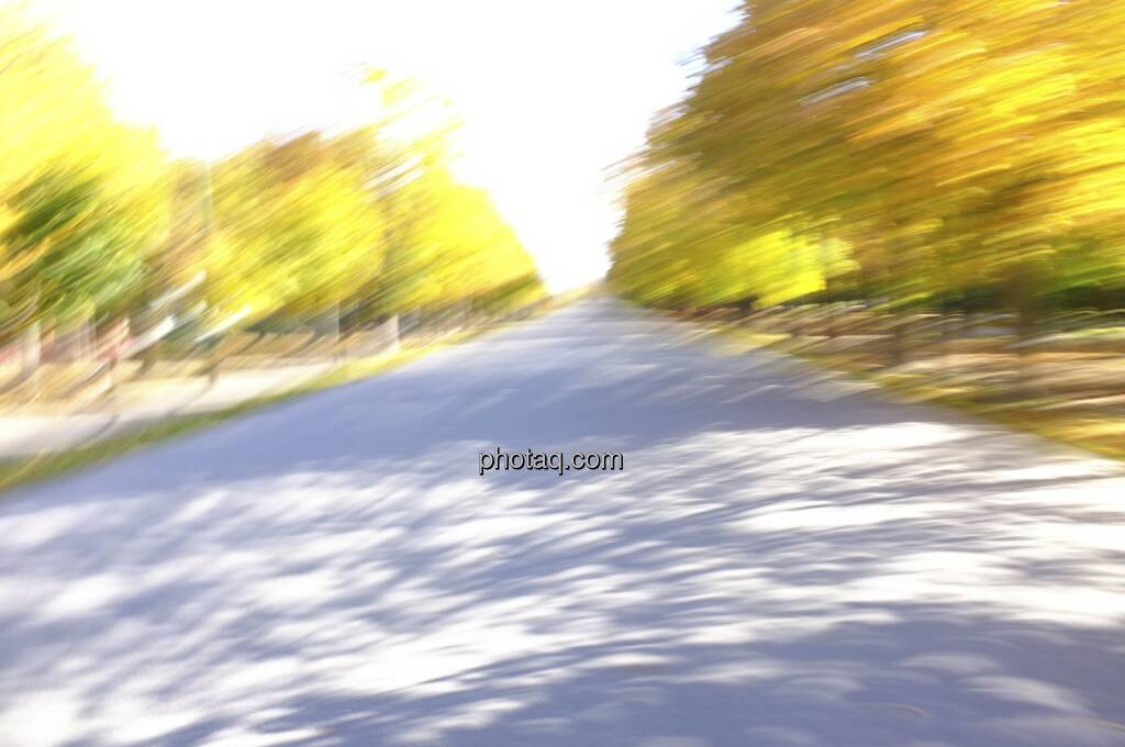 Hauptallee Prater, Speed, Herbstlaub, © Martina Draper / Diverse (19.10.2013) 