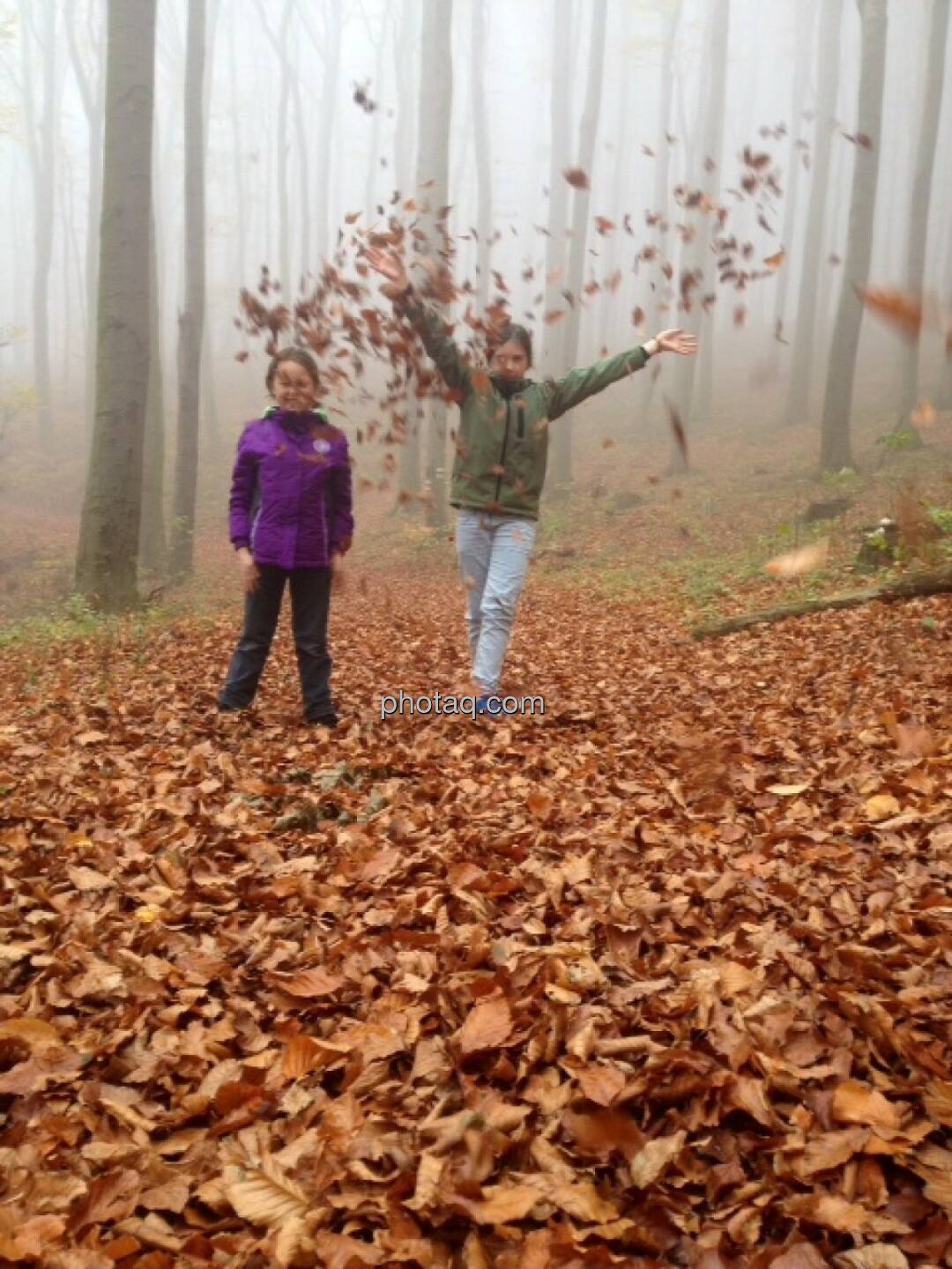 Kinder, Blätter, Wald