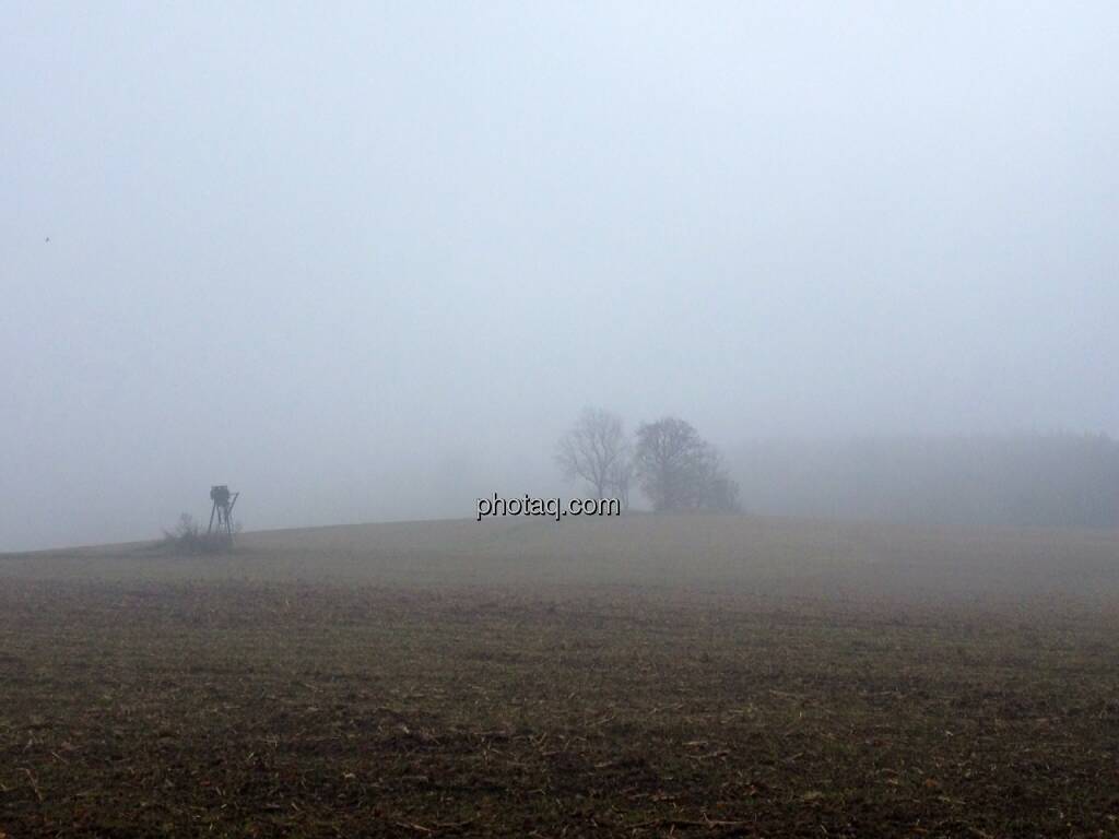 Feld, Bäume, Nebel, © Martina Draper / Diverse (02.11.2013) 