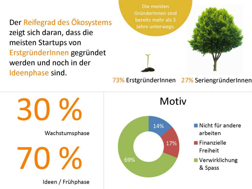 Austrian Startup Report 2013 - Reifegrad, © mit freundlicher Genehmigung von Speed Invest (26.11.2013) 