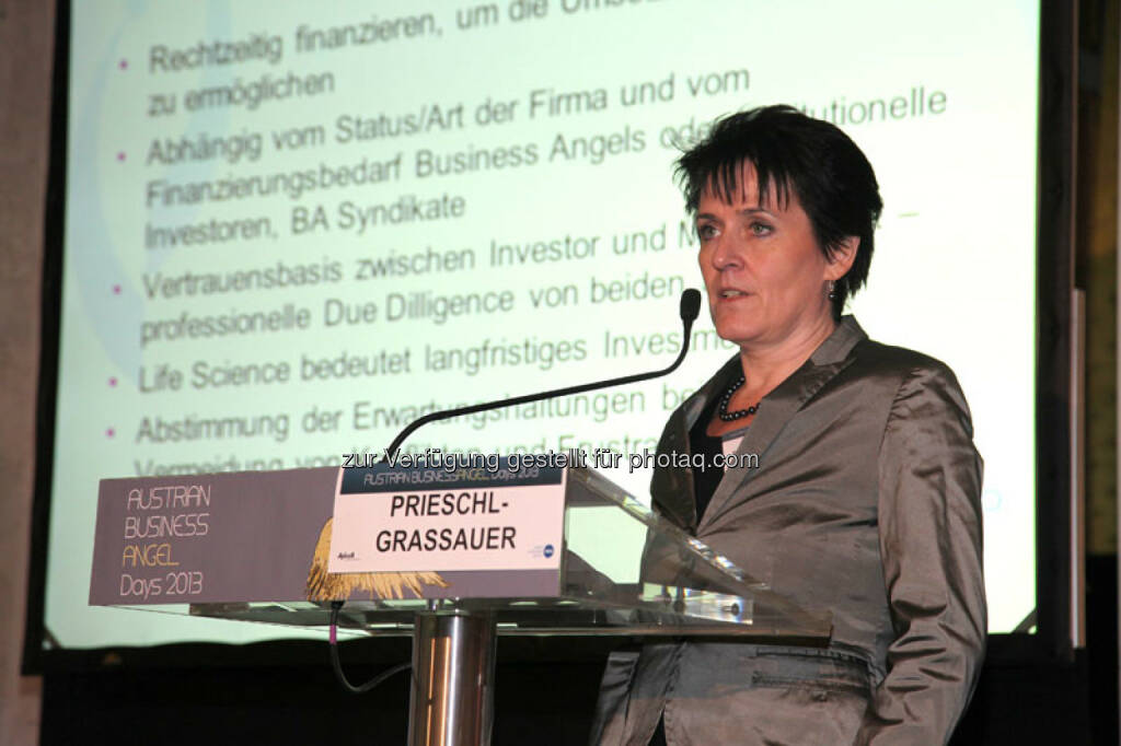 Keynote Prieschl-Grassauer, © Austria Wirtschaftsservice (01.12.2013) 