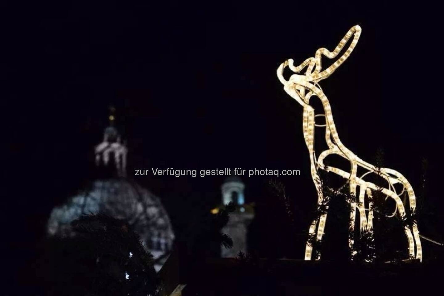 Rentier, Karlskirche, Wien, Lichter im Advent, www.fotomoldan.at