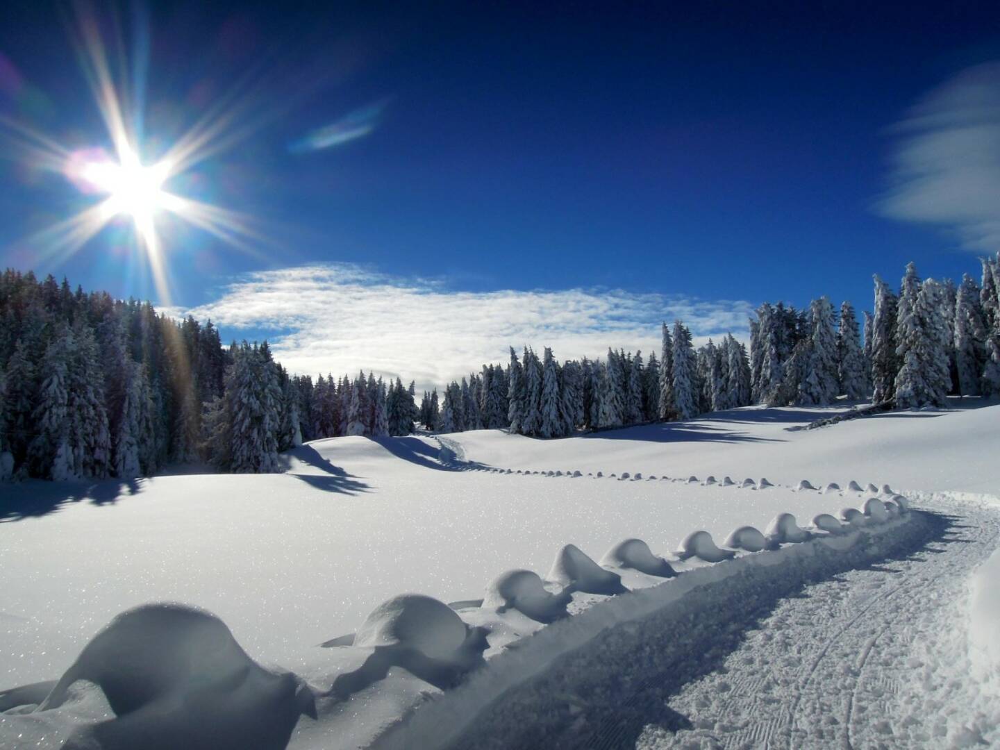 Schnee, Weg, Bäume, Sonne, Vigljoch, Südtirol