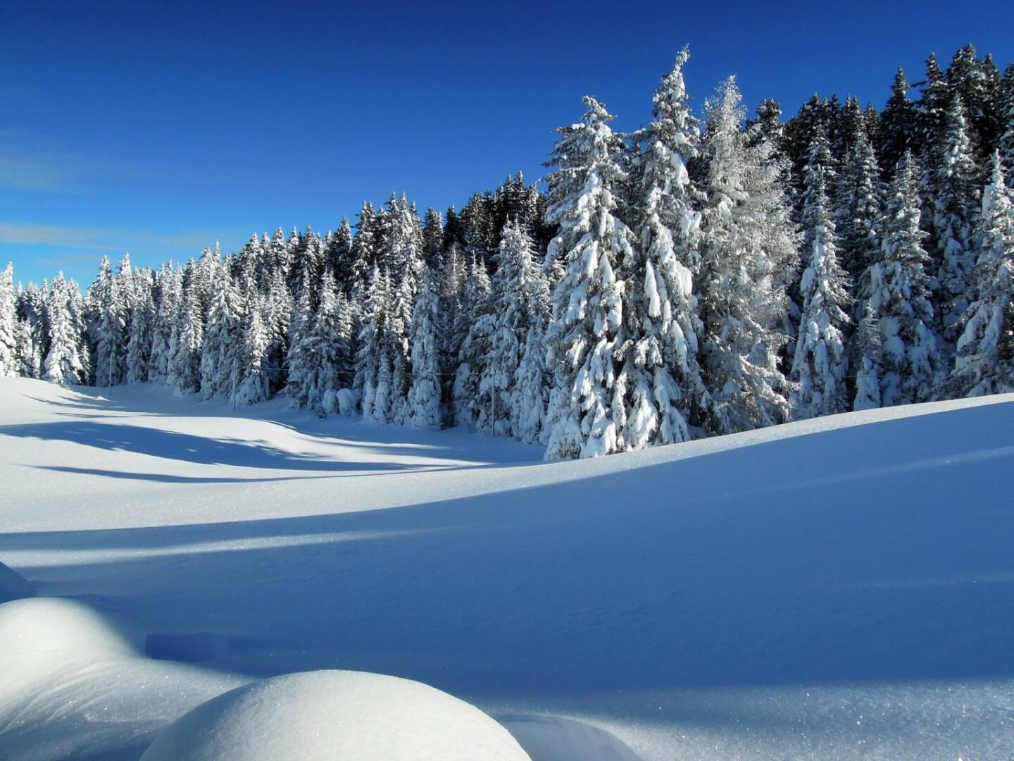 Schnee, Bäume, Vigljoch, Südtirol