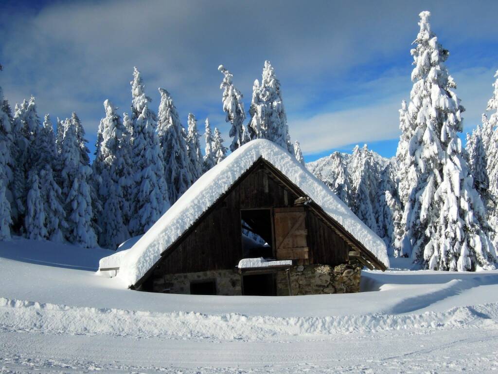 Hütte, Schnee, Bäume, Vigljoch, Südtirol, © Peter Sitte (27.12.2013) 