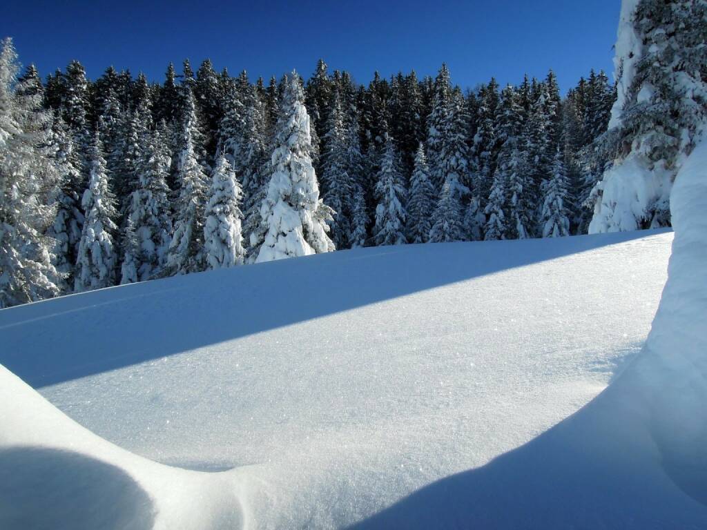 Bäume, Schnee, Vigljoch, Südtirol, © Peter Sitte (27.12.2013) 