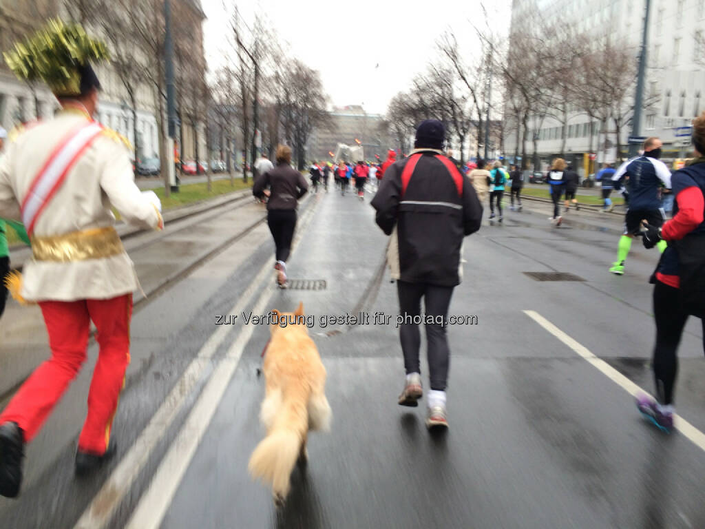 LCC Silvesterlauf 2013, © Martina Draper (31.12.2013) 