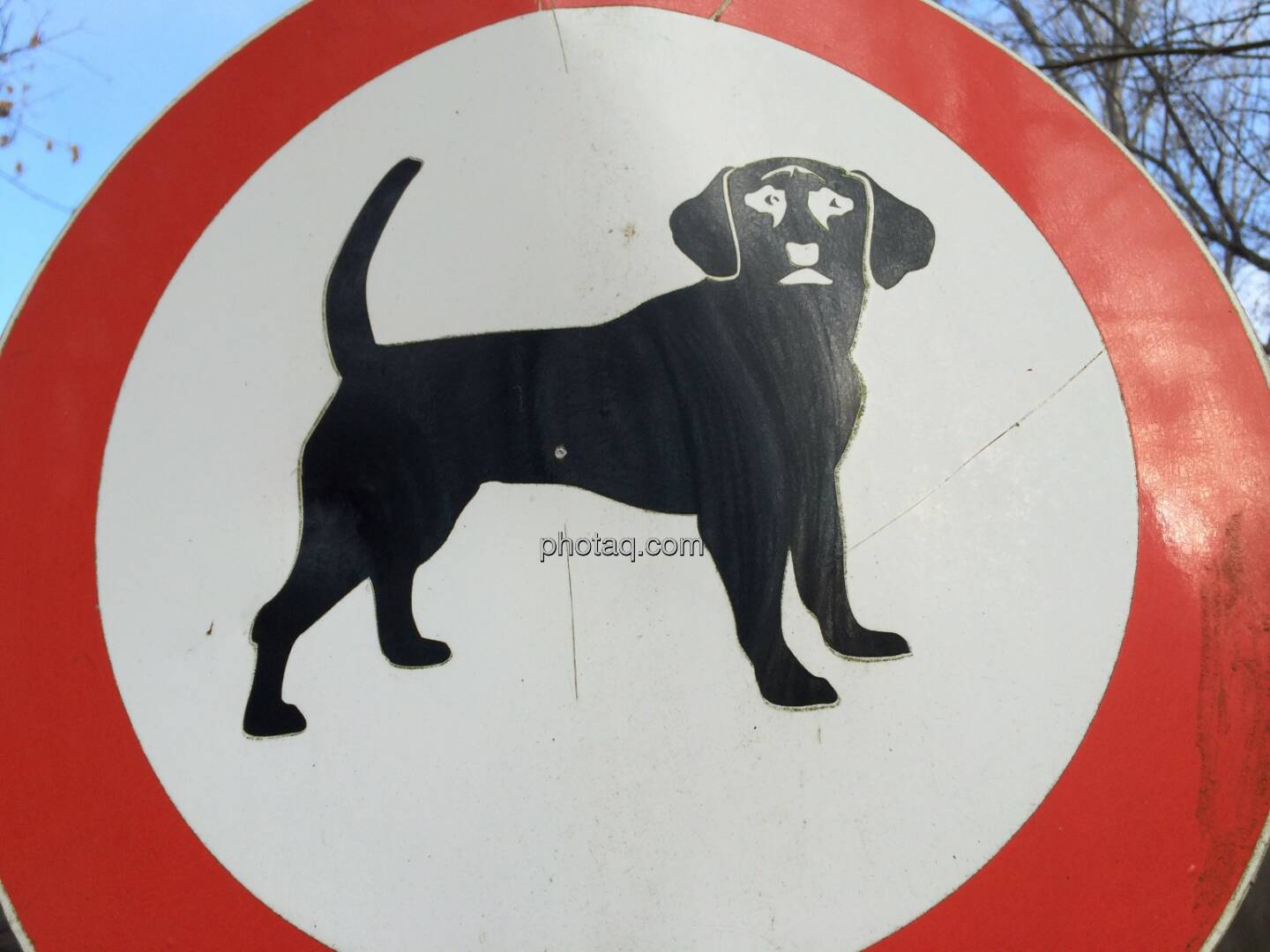 Hund, verboten