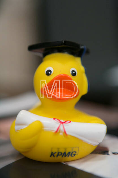 Ente, KPMG, © Martina Draper (13.01.2014) 