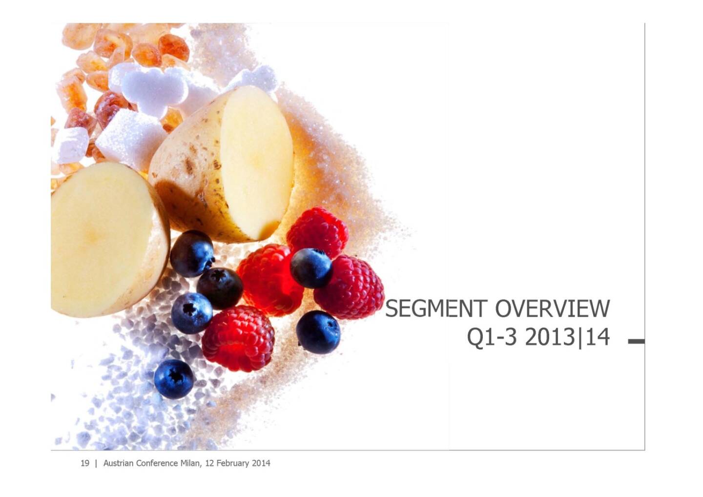 Segment Overview
