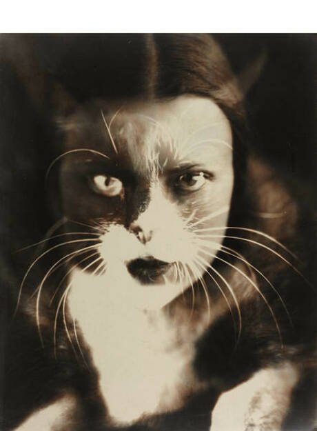 Wanda Wulz (1903–1984) ‘Io + Gatto’ (Selbstporträt), 1932, Silbergelatine-Abzug, geprintet frühe 1950er, 29,4 x 23,5 cm. Von der Fotografin auf der Rückseite signiert und betitelt “Io + Gatto, Fotografia Wanda Wulz, Schätzpreis: 80.000 - 100.000 EUR, © Westlicht/Fotografen (17.02.2014) 