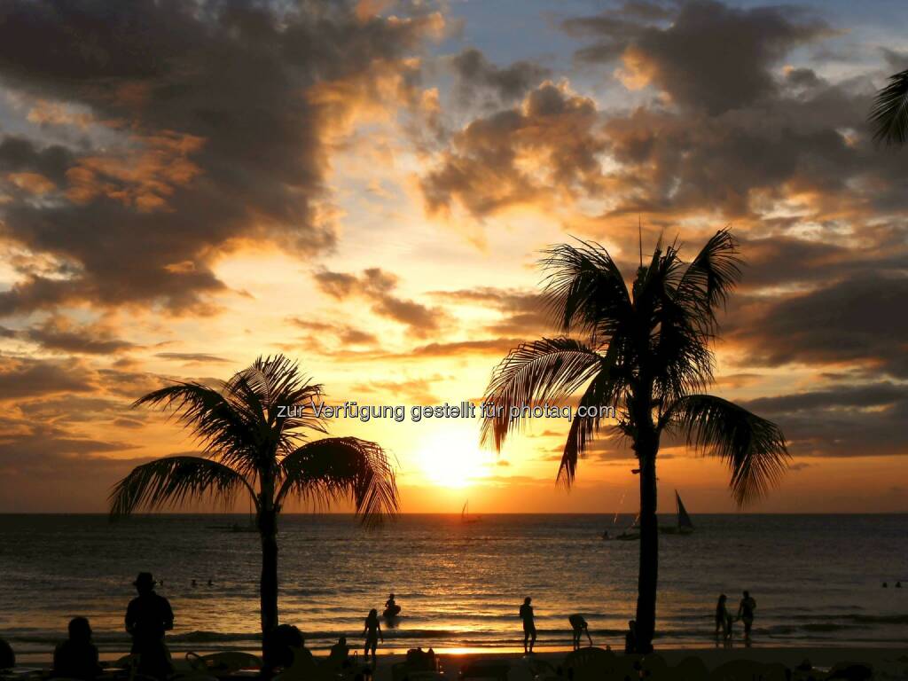 Palm Tree Sunset (2014) , © Dietmar Scherf (17.02.2014) 