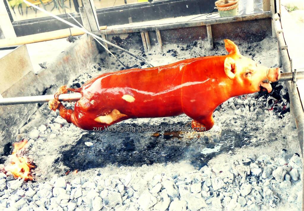 The Pig (2014), Schwein, © Dietmar Scherf (17.02.2014) 