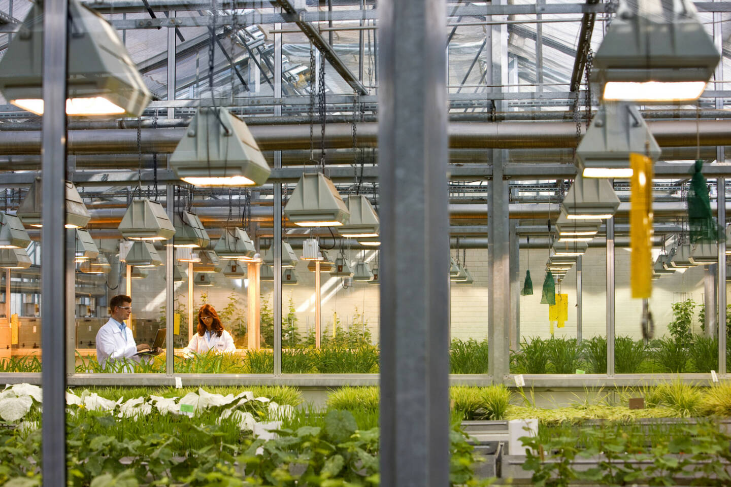 BASF forscht hier an neuen Wirkstoffen für innovative Pflanzenschutzmittel.