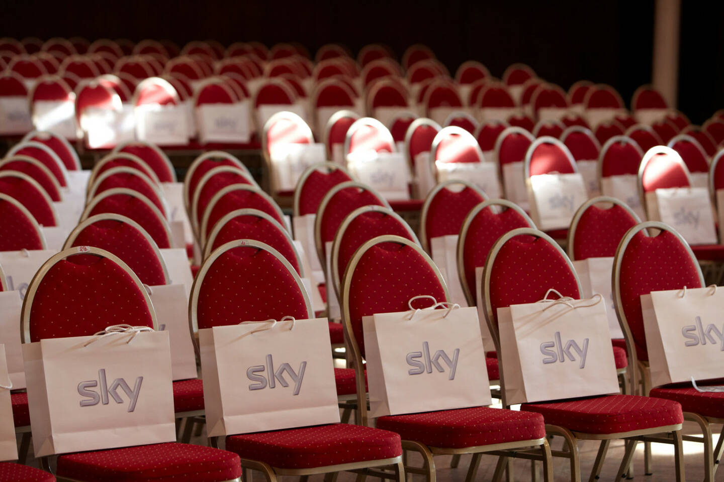 Sky Hauptversammlung, Sky Deutschland AG