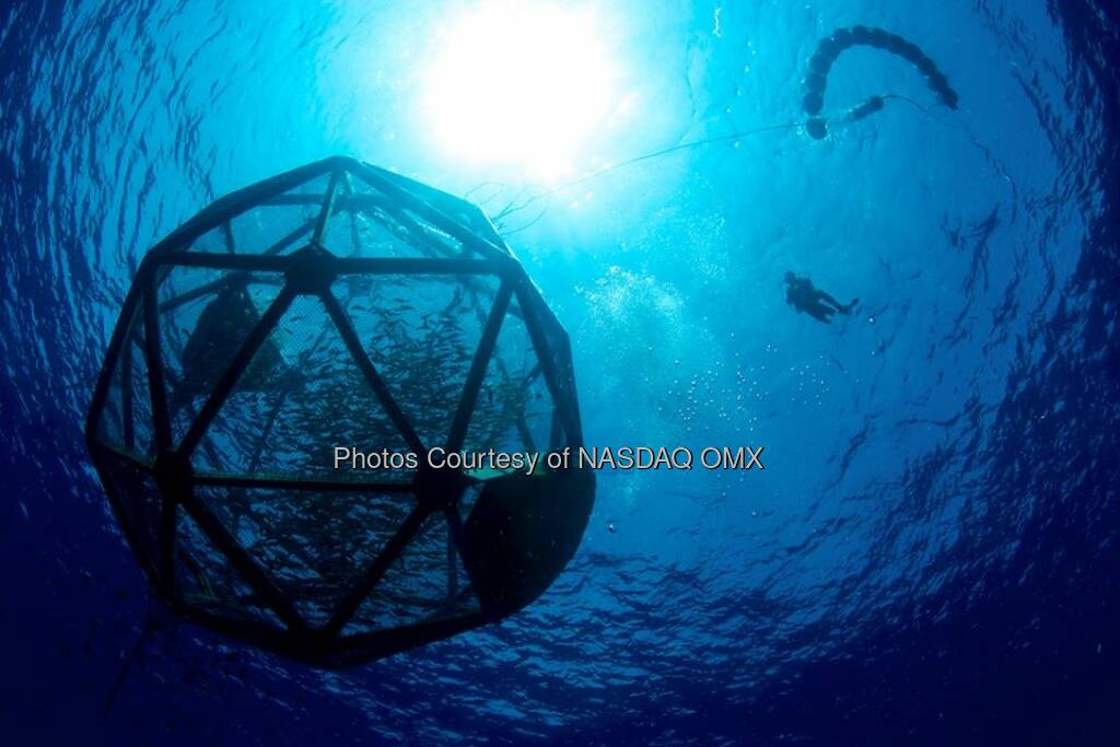 Wasser; Meer, Seefood Meet the Aquapod: A free floating fish farm that helps produce sustainable seafood while keeping sensitive marine life unharmed.http://bit.ly/1hluWjw  Source: http://facebook.com/NASDAQ  (22.04.2014) 