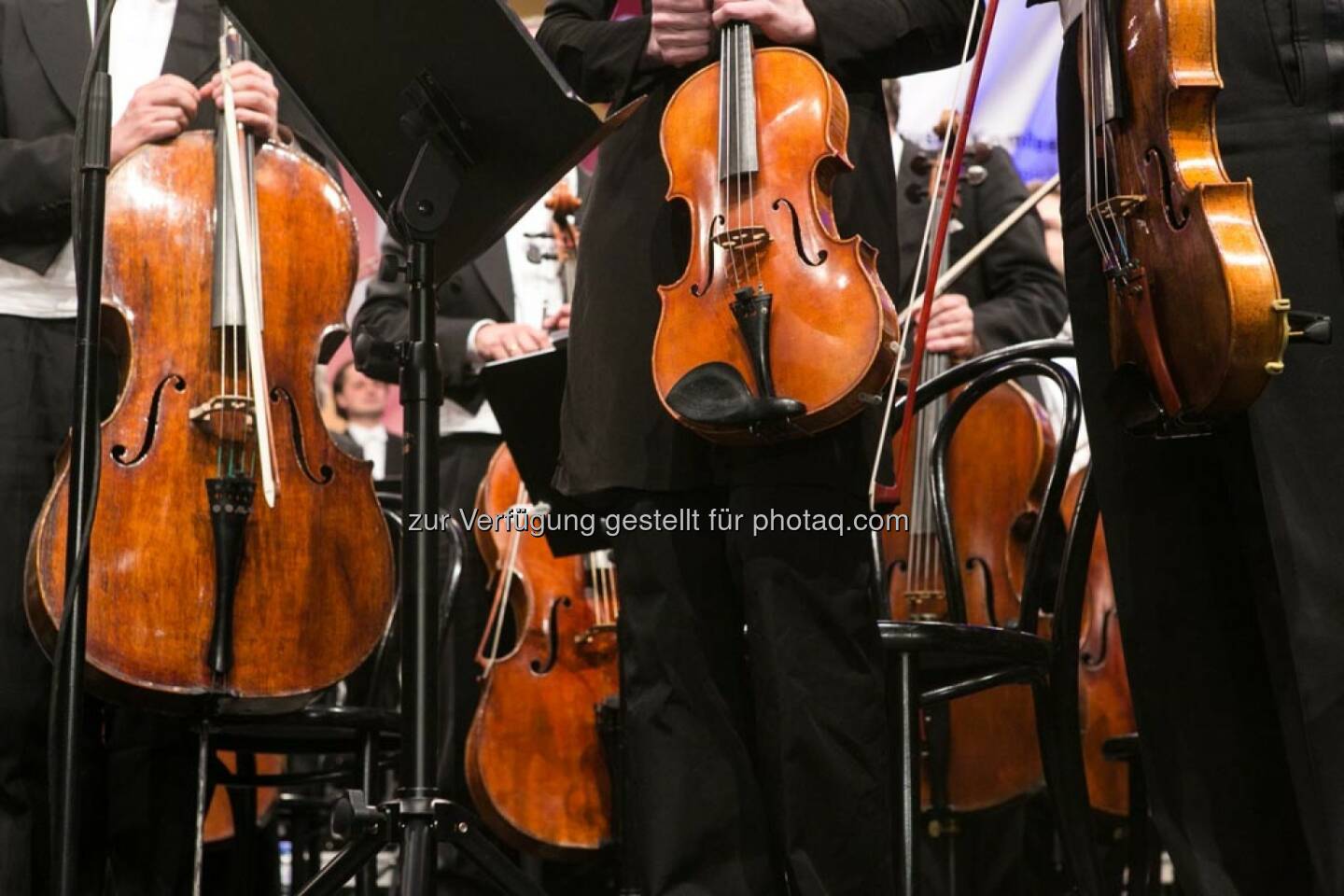 Violine, Cello, Fest der Freude 2014