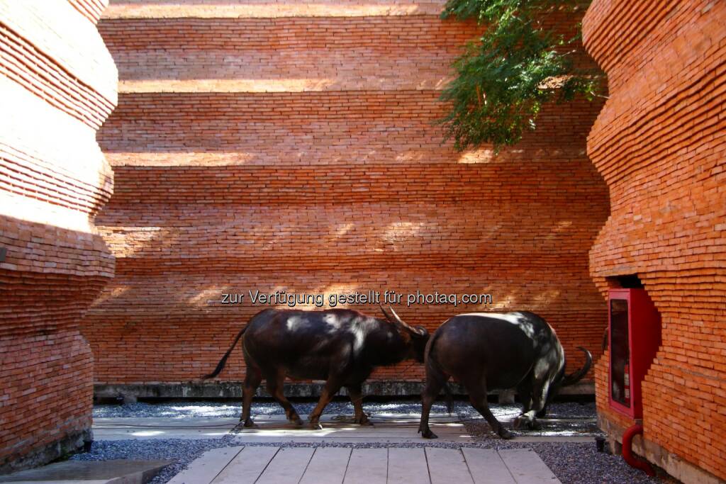 Wienerberger Brick Award 2014: Filminstitut in Thailand ist Gesamtsieger - Das Gesamtsieger-Projekt besteht aus mehr als 600.000 handgemachten Ziegeln.  (Bild: Wienerberger, Pirak Anurakyawachon) (09.05.2014)