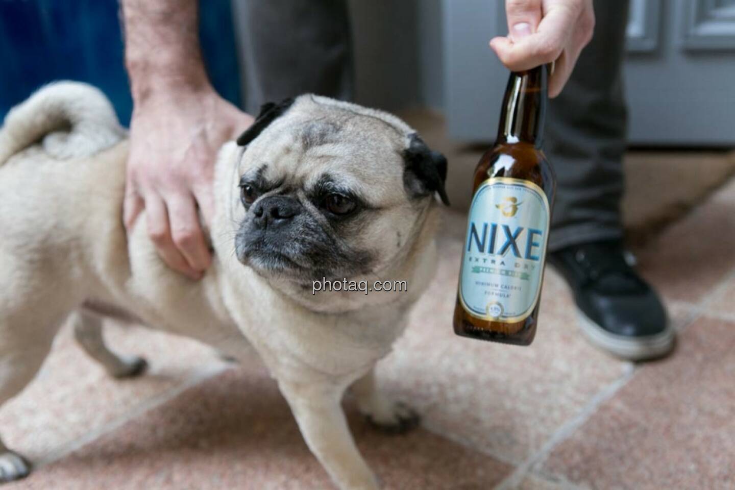 Mops, Nixe Bier