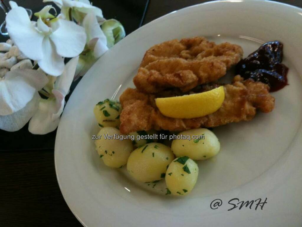 Verbund-HV 10.4.2014 im Austria Center. Zur Auswahl gab es Schnitzel (unterschiedlicher Größe, das hier war eine gute Portion) ... (19.05.2014) 