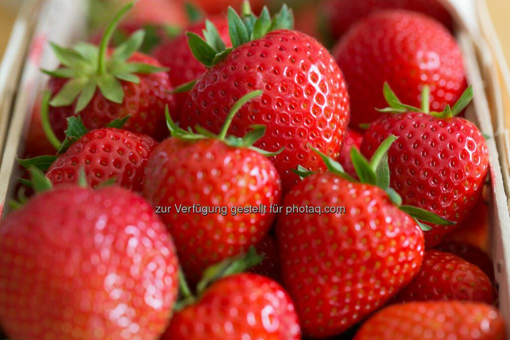 Erdbeeren, © Martina Draper (31.05.2014) 