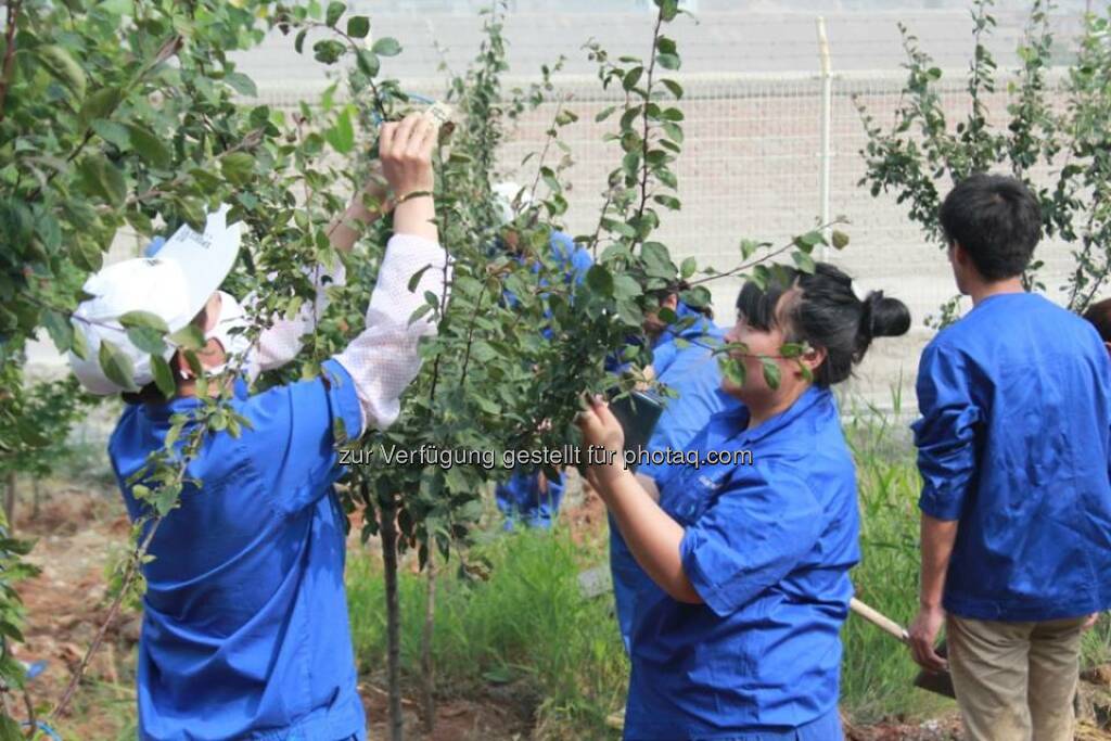 RHI: Letzte Woche wurde es ein Stück grüner im Werk Dashiqiao. Nach dem Motto „Plant  Green, Love Dashiqiao“ fand eine gemeinsame Baumpflanzaktion mit rund 200 Mitarbeiterinnen und Mitarbeitern am Standort statt.  Source: http://facebook.com/133039406833055  (12.06.2014) 