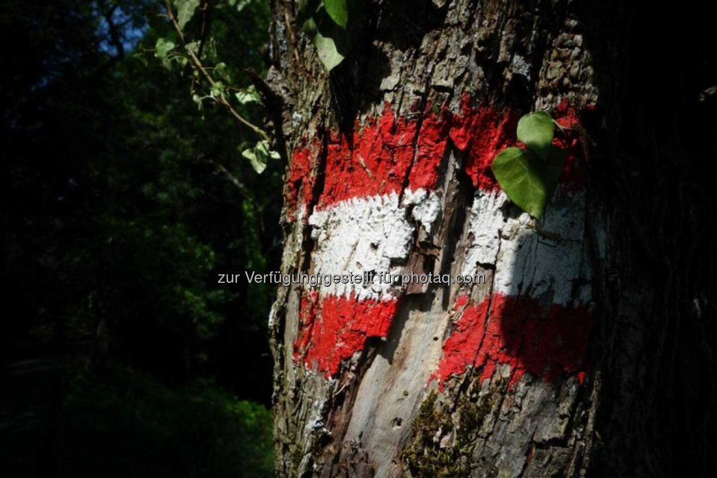 Rot-weiss-rot, Österreich