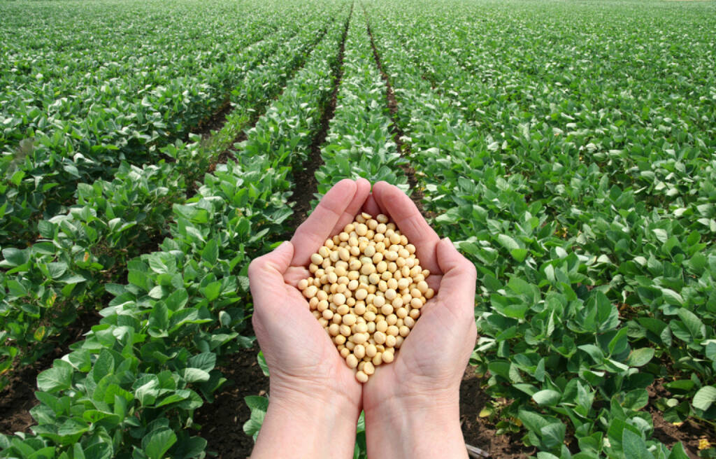 Sojabohnen, http://www.shutterstock.com/de/pic-107308046/stock-photo-human-hand-holding-soybean-with-field-in-background.html , © (www.shutterstock.com) (01.07.2014) 