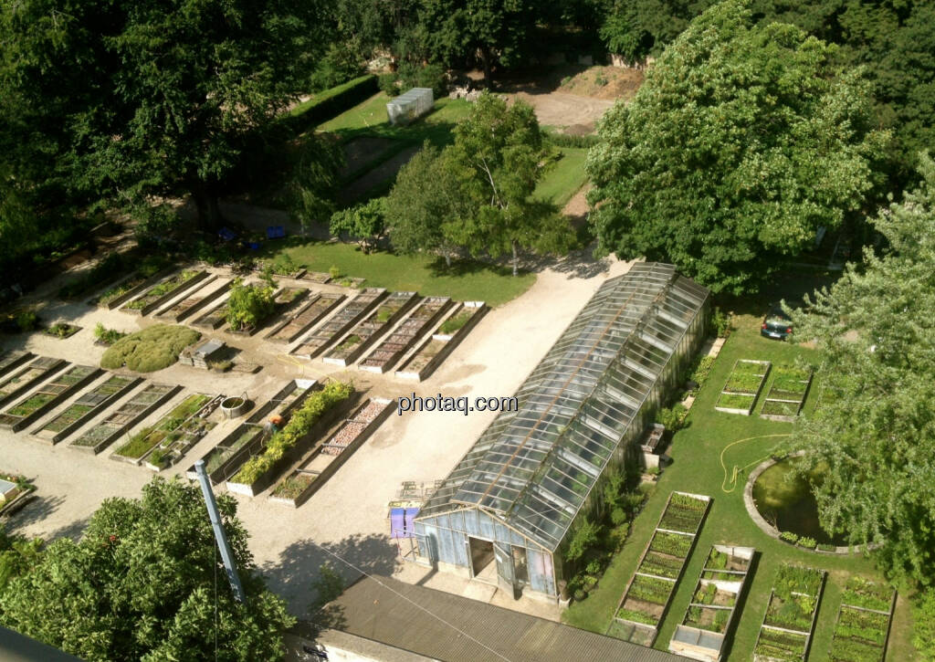 Botanischer Garten Wien, Blick aus dem Headquarter der CA Immo (08.07.2014) 