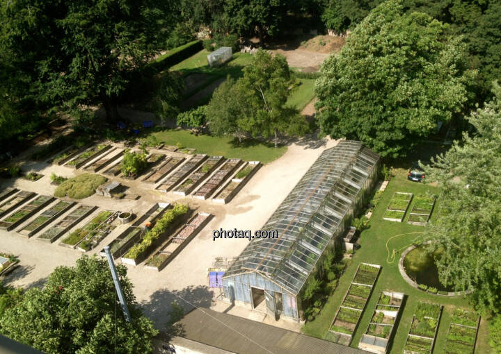 Botanischer Garten Wien, Blick aus dem Headquarter der CA ...