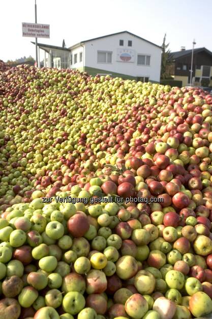 Fruchtzubereitungs- und Fruchtssaftkonzentratswerk Gleisdorf, Äpfel, Apfel, Berg (Bild: Agrana) (10.07.2014) 