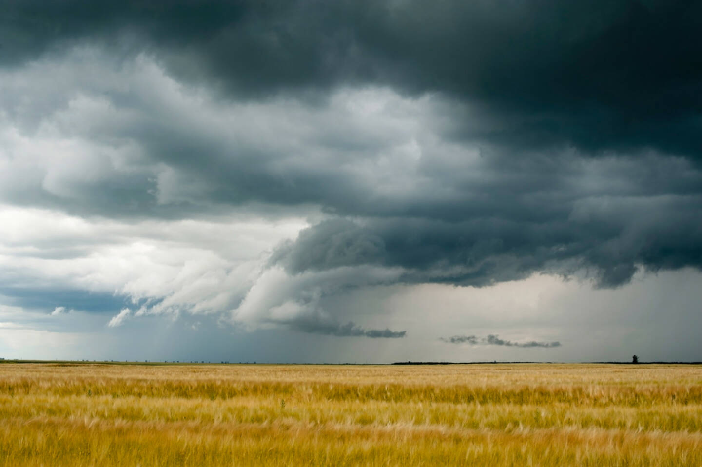 Wolken, dunkel, dunkle Wolken, Gewitter, Horizont, Feld, Weizen, Getreide, Schlechtwetter, Verdunklung, Sturm, http://www.shutterstock.com/de/pic-79450117/stock-photo-storm-dark-clouds-over-field.html 