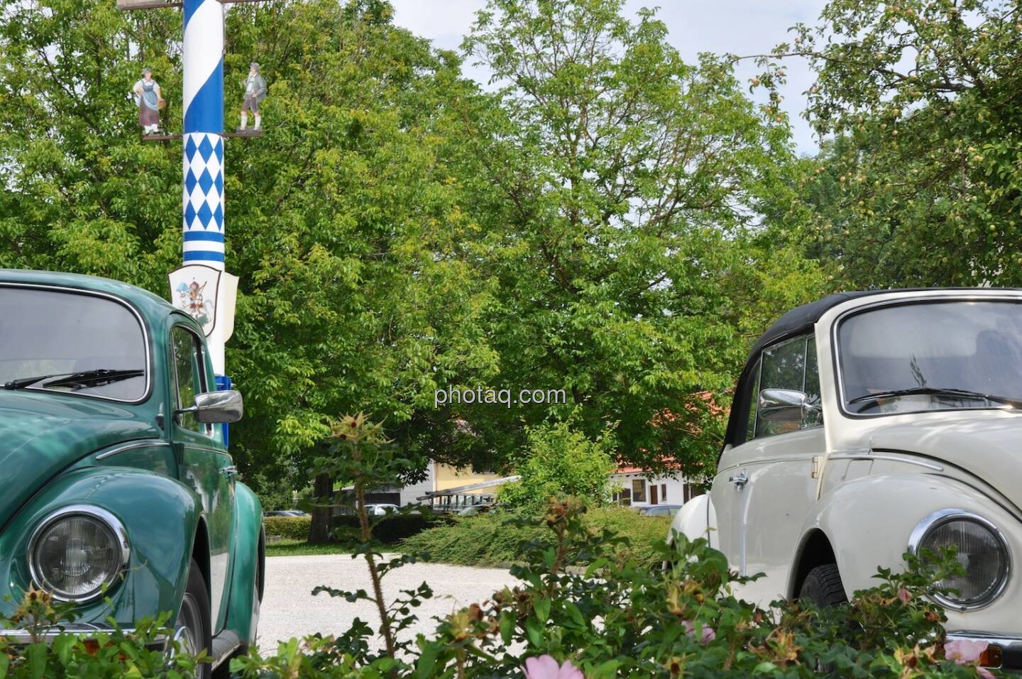 VW, Volkswagen, Käfer, Hintergrund Maibaum