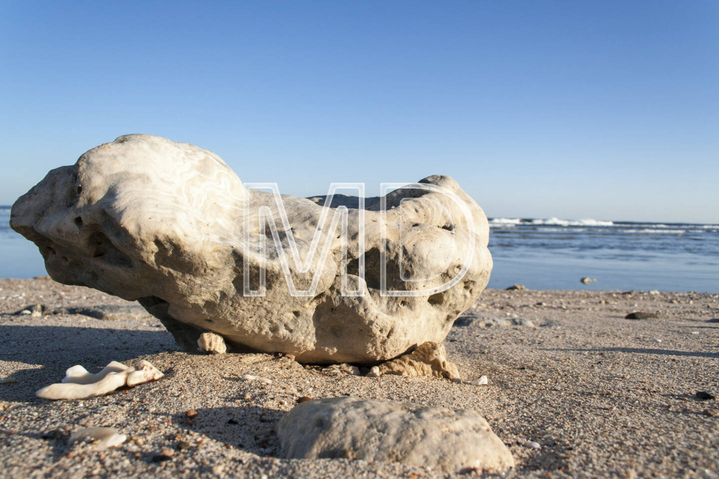 Korallen, Marsa Alam, Ägypten