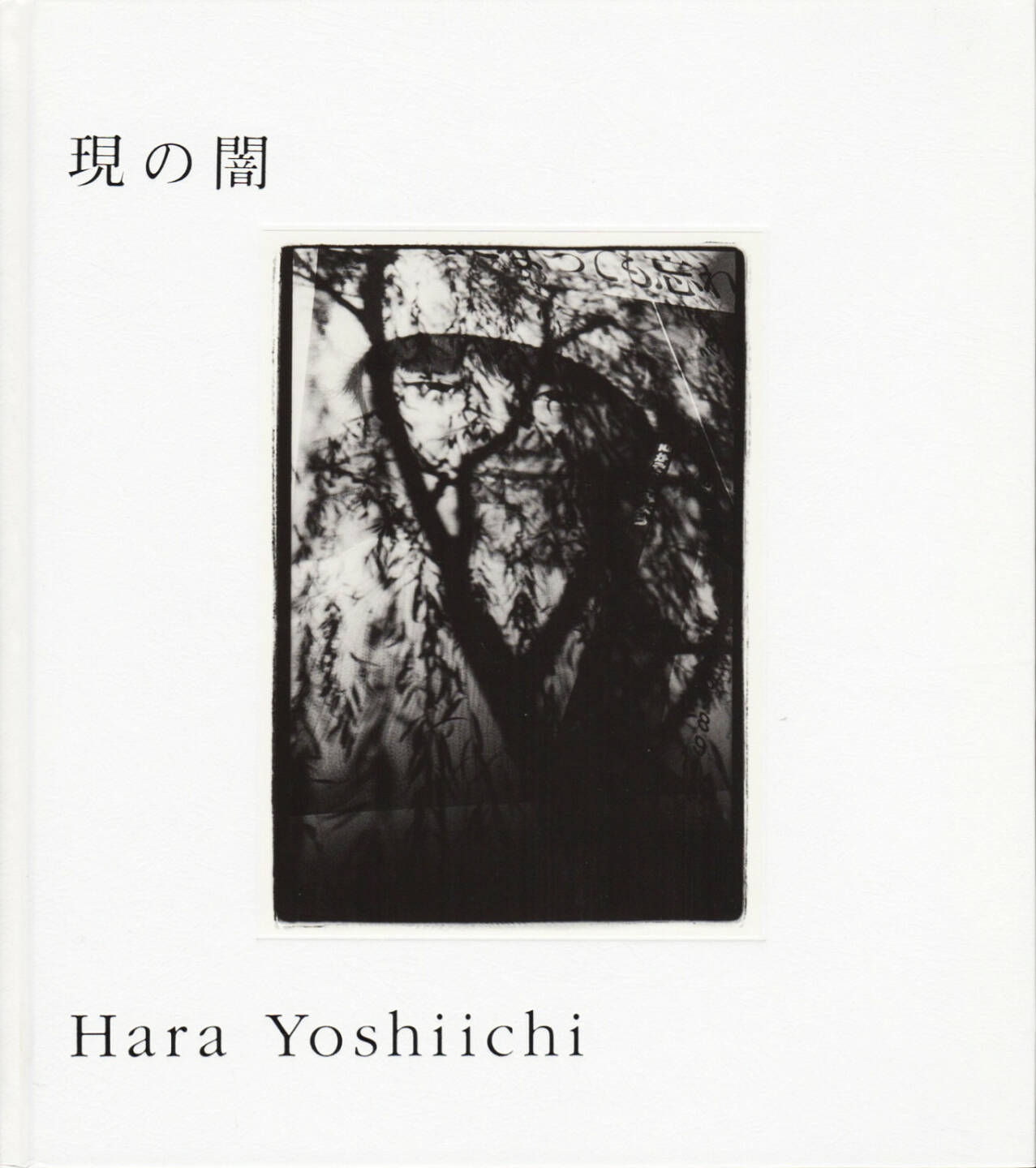 Yoshiichi Hara - Dark of True, Sokyu-sha, 2008, Cover, http://josefchladek.com/book/yoshiichi_hara_-_dark_of_true