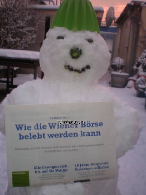 Der Schneemann mit dem Fachheft (14.01.2013) 