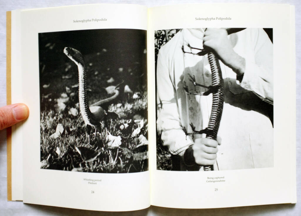 Sample spread of Joan Fontcuberta and Pere Formiguera - Dr. Ameisenhaufen's Fauna, 250-300 Euro, http://josefchladek.com/book/joan_fontcuberta_and_pere_formiguera_-_dr_ameisenhaufens_fauna (10.08.2014) 