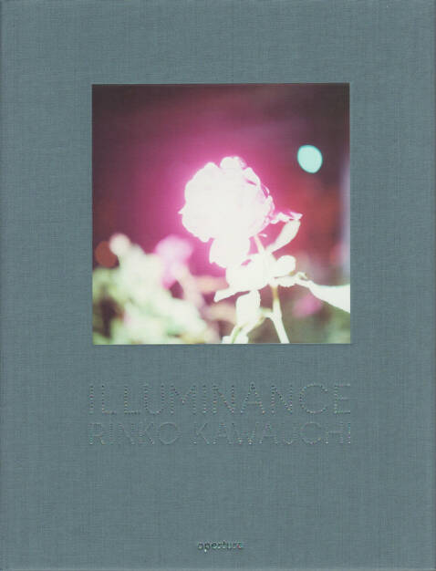 Rinko Kawauchi - Illuminance, Aperture, 2011, Cover - http://josefchladek.com/book/rinko_kawauchi_-_illuminance, © (c) josefchladek.com (11.08.2014) 