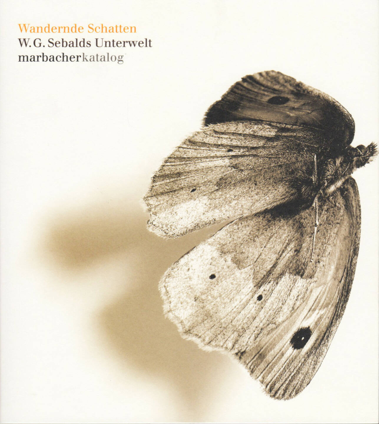 Wandernde Schatten - W. G. Sebalds Unterwelt, Deutsche Schillergesellschaft, 2008, Cover - http://josefchladek.com/book/w_g_sebald_-_wandernde_schatten_-_w_g_sebalds_unterwelt