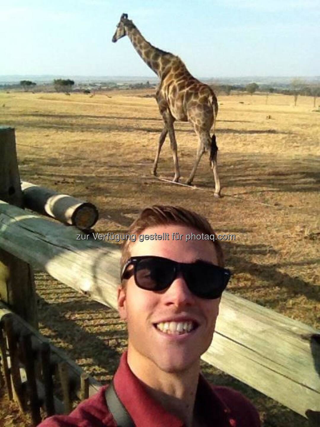 Giraffen: Der erste 'Arbeitstag' hier in Pretoria hat mich mit dem Red Bull Team und den X-Fighter Athleten in einen Safari Park geführt! Unglaublich tolles Erlebnis ...