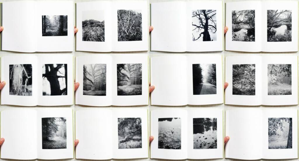 Michael Schmidt - Natur, MACK, 2014, Beispielseiten, sample spreads - http://josefchladek.com/book/michael_schmidt_-_natur, © (c) josefchladek.com (20.08.2014) 