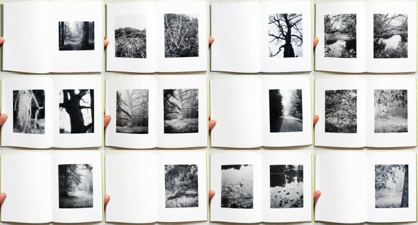 Michael Schmidt - Natur, MACK, 2014, Beispielseiten, sample spreads - http://josefchladek.com/book/michael_schmidt_-_natur